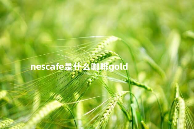 nescafe是什么咖啡gold