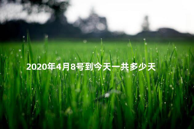 2020年4月8号到今天一共多少天