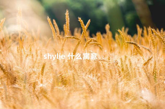 shylie 什么寓意