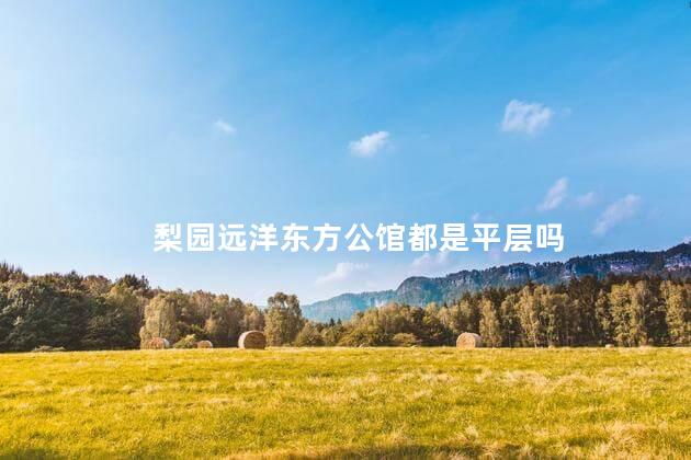 梨园远洋东方公馆都是平层吗