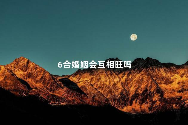 6合婚姻会互相旺吗