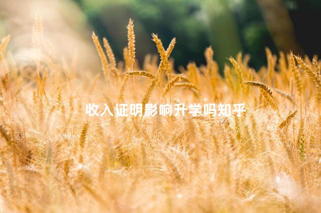 收入证明影响升学吗知乎