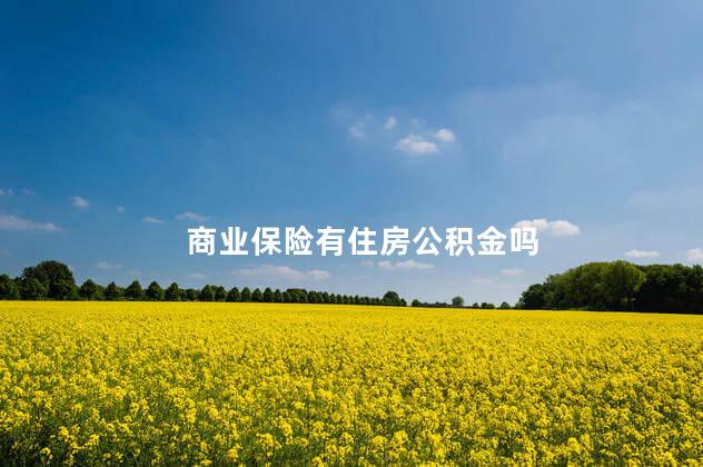 商业保险有住房公积金吗