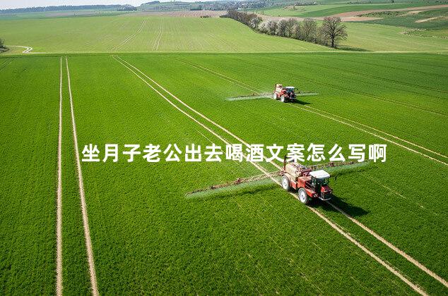 坐月子老公出去喝酒文案怎么写啊