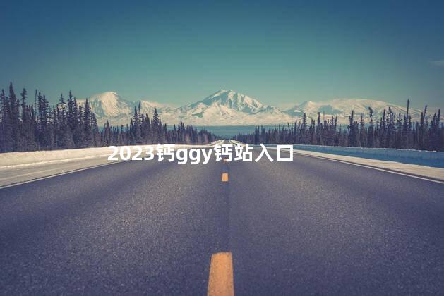 2023钙ggy钙站入口
