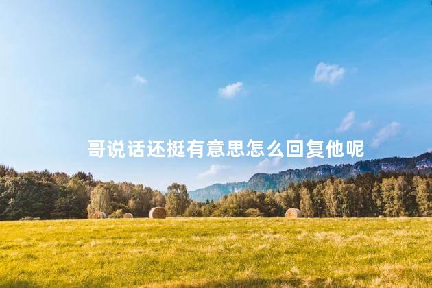 哥说话还挺有意思怎么回复他呢
