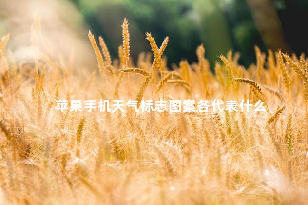 苹果手机天气标志图案各代表什么