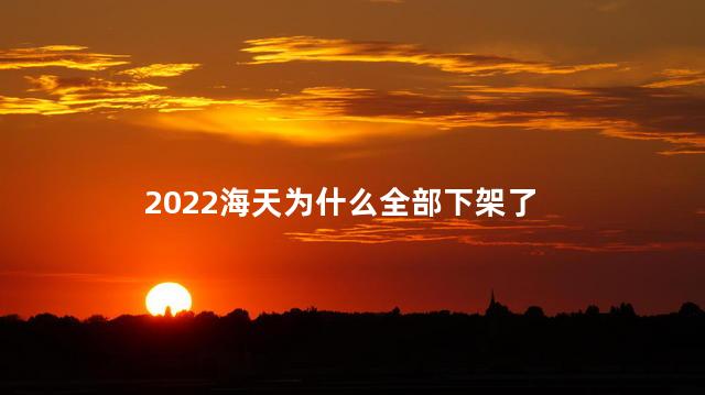 2022海天为什么全部下架了