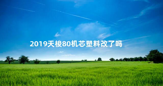 2019天梭80机芯塑料改了吗