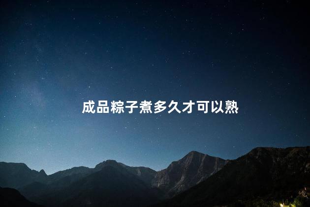 成品粽子煮多久才可以熟