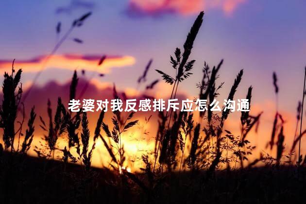 老婆对我反感排斥应怎么沟通