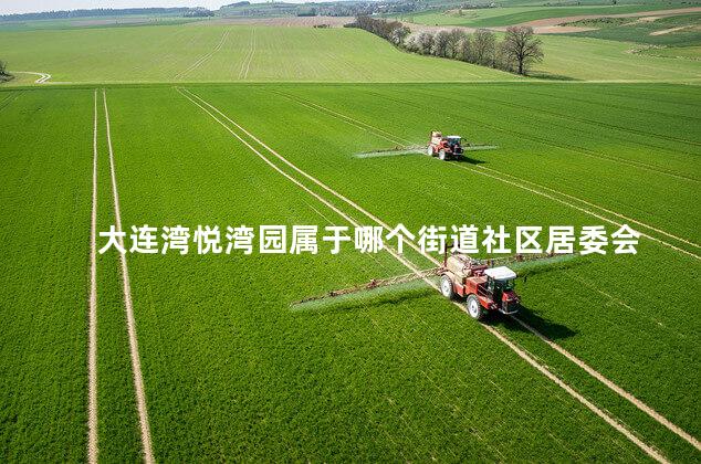 大连湾悦湾园属于哪个街道社区居委会