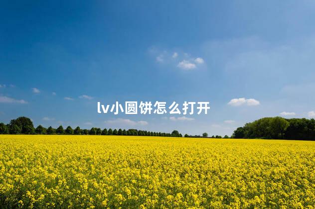 lv小圆饼怎么打开