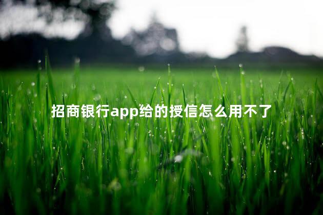 招商银行app给的授信怎么用不了