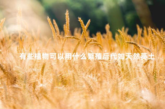 有些植物可以用什么繁殖后代如天然葵土豆块