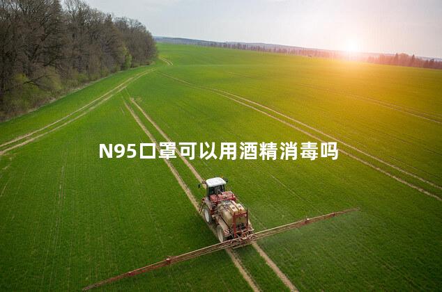 N95口罩可以用酒精消毒吗