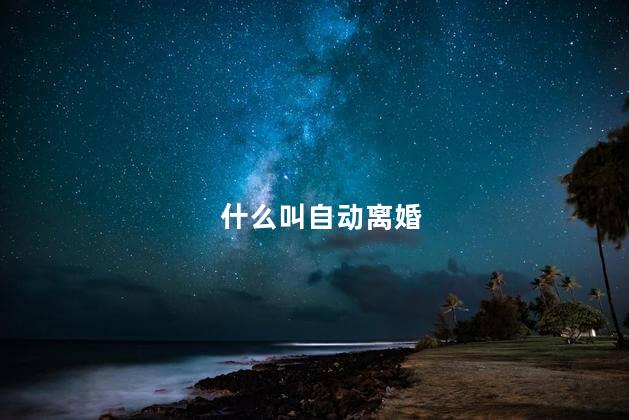 什么叫自动离婚