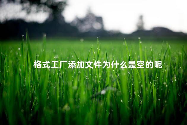 格式工厂添加文件为什么是空的呢