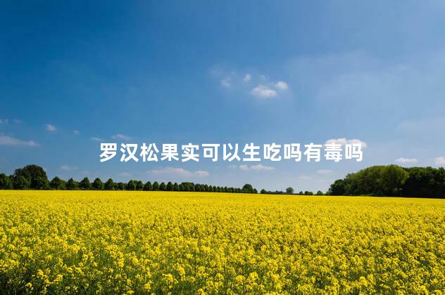 罗汉松果实可以生吃吗有毒吗