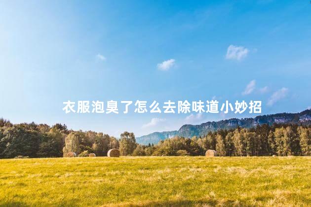 衣服泡臭了怎么去除味道小妙招