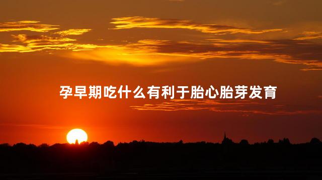 孕早期吃什么有利于胎心胎芽发育