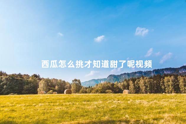西瓜怎么挑才知道甜了呢视频