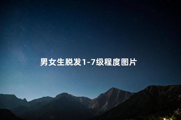 男女生脱发1-7级程度图片