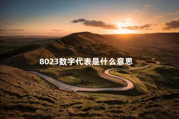 8023数字代表是什么意思