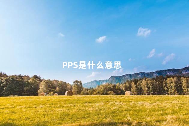 PPS是什么意思