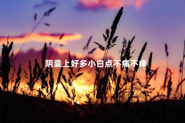 阴囊上好多小白点不痛不痒