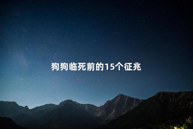 狗狗临死前的15个征兆