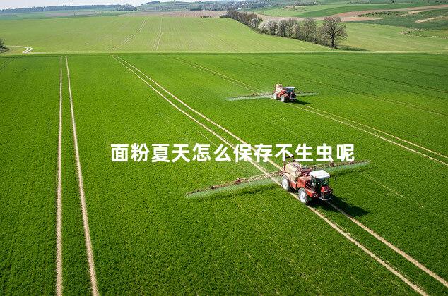 面粉夏天怎么保存不生虫呢