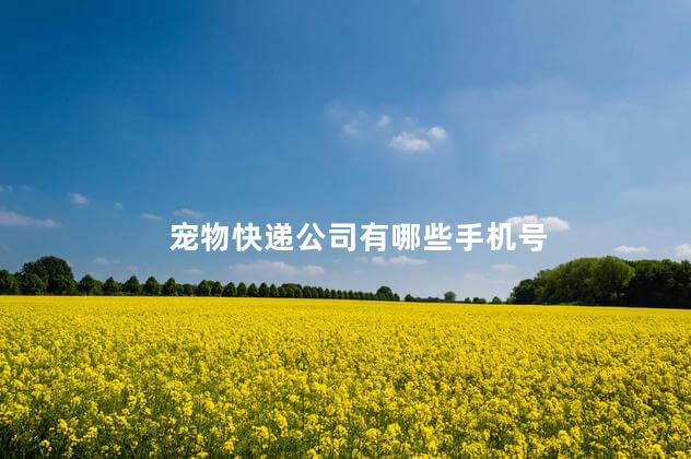 宠物快递公司有哪些手机号