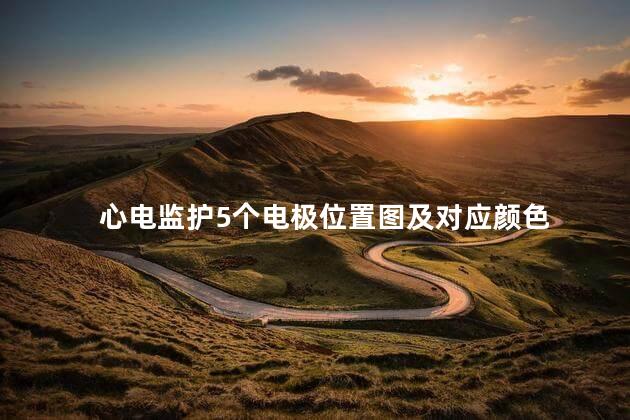 心电监护5个电极位置图及对应颜色