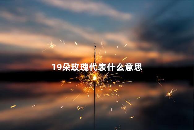 19朵玫瑰代表什么意思