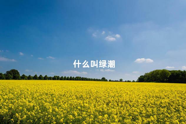 什么叫绿潮