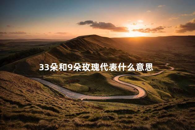 33朵和9朵玫瑰代表什么意思