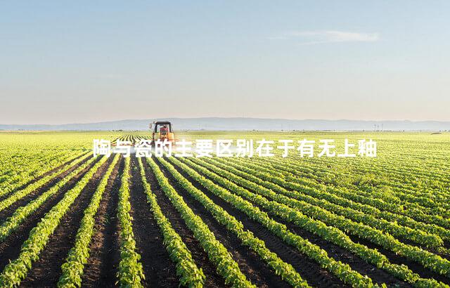 陶与瓷的主要区别在于有无上釉