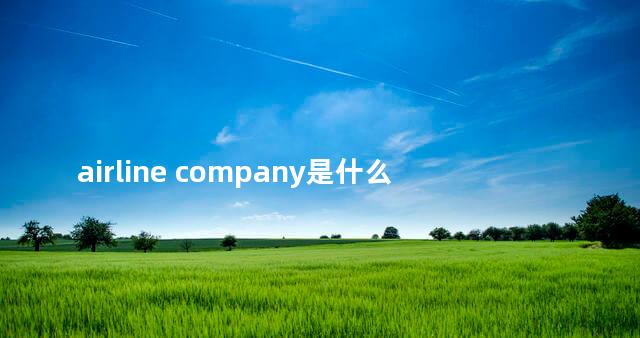 airline company是什么意思