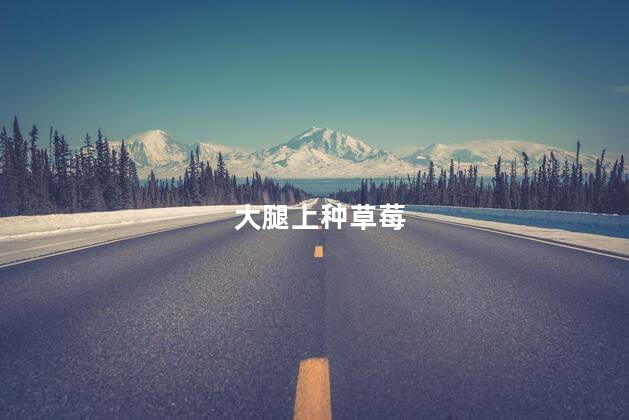 大腿上种草莓