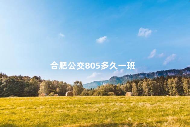 合肥公交805多久一班