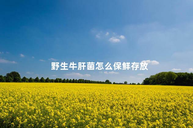 野生牛肝菌怎么保鲜存放