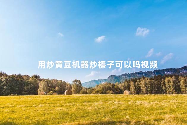 用炒黄豆机器炒榛子可以吗视频