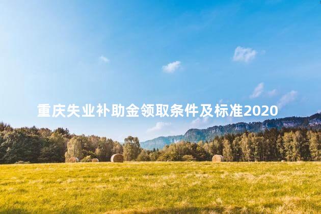 重庆失业补助金领取条件及标准2020