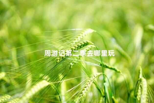 周游记第二季去哪里玩