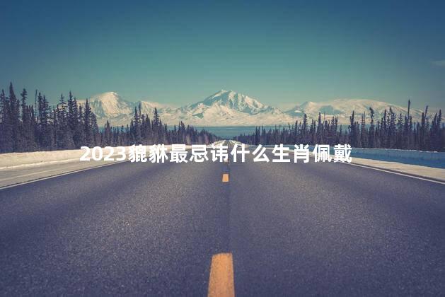 2023貔貅最忌讳什么生肖佩戴