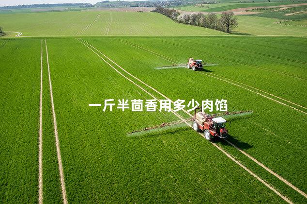 一斤半茴香用多少肉馅