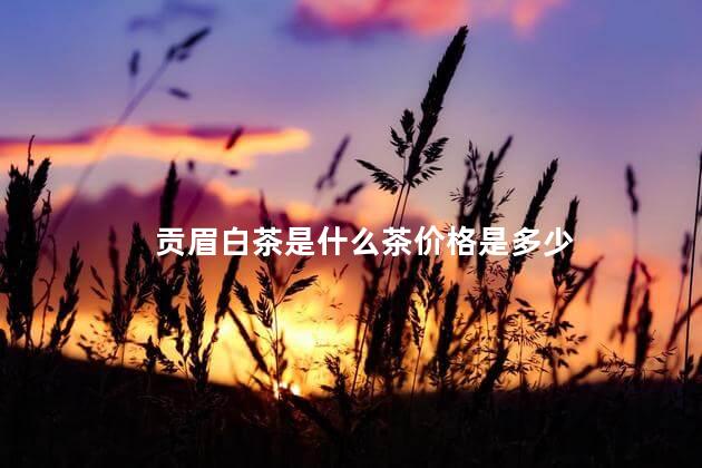 贡眉白茶是什么茶价格是多少