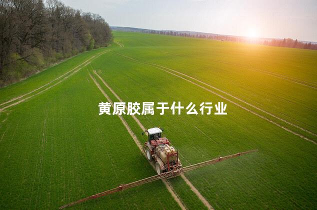 黄原胶属于什么行业