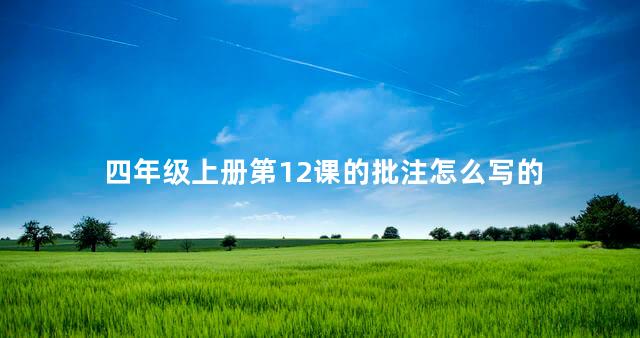 四年级上册第12课的批注怎么写的